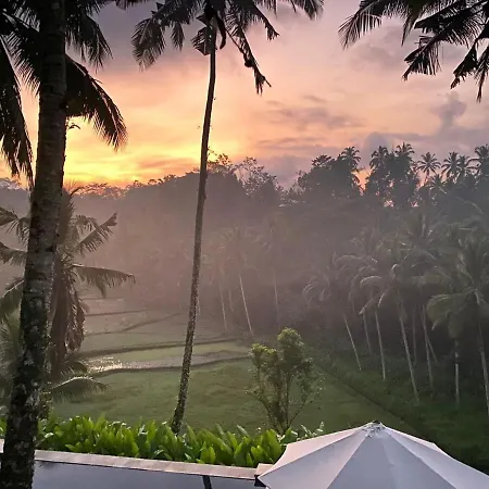 The Papas Villas Tegallalang (Bali) Exterior photo