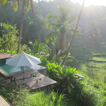 The Papas Villas Tegallalang (Bali) Exterior photo