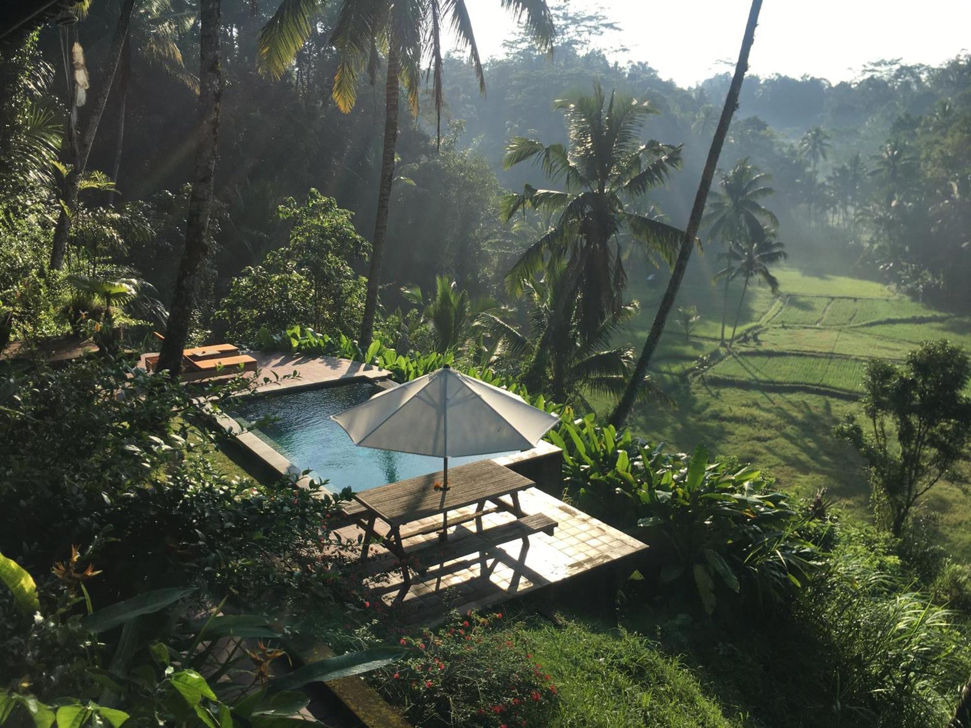 The Papas Villa